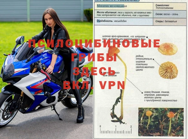 ALPHA-PVP Горняк