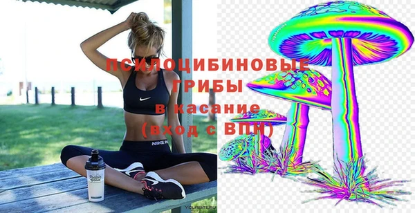гашик Горно-Алтайск