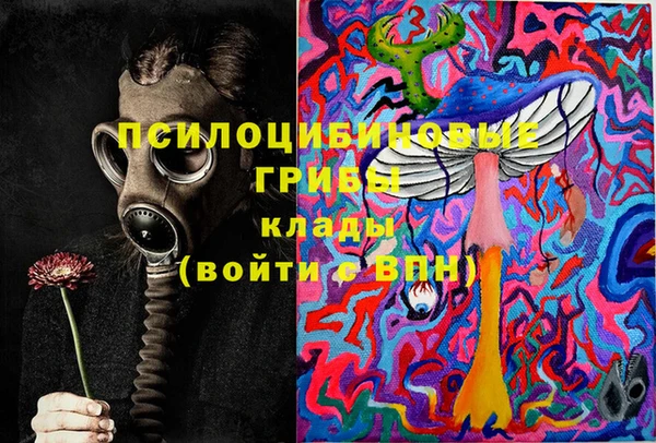 спиды Аркадак
