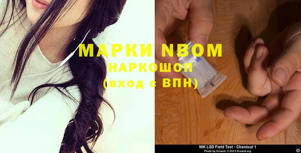 крисы Ельня