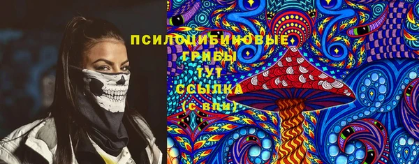 спиды Аркадак