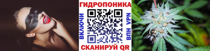МАРИХУАНА OG Kush  купить  сайты  Малоархангельск 